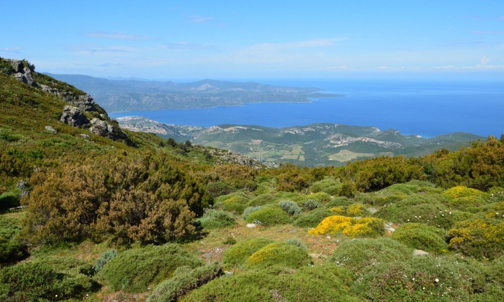 scenic view of corsican coastline in bastia