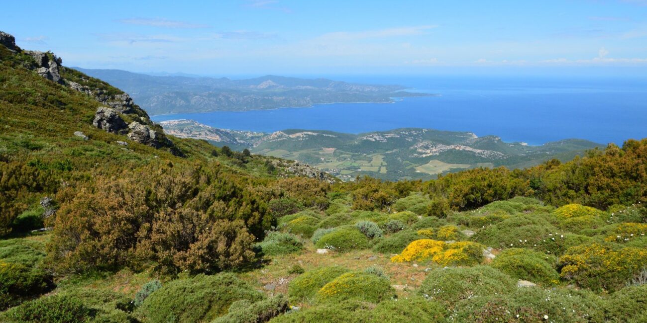 scenic view of corsican coastline in bastia
