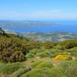 scenic view of corsican coastline in bastia
